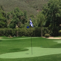 Synthetic Turf Ocoee, Florida Indoor Putting Green