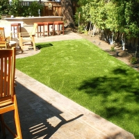 Synthetic Turf Supplier Masaryktown, Florida Dog Parks, Backyard