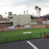 Synthetic Turf Tarpon Springs, Florida Red Turf, Commercial Landscape