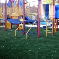 Turf Grass Brooksville, Florida Athletic Playground, Commercial Landscape