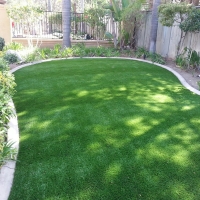 Turf Grass Dunnellon, Florida Lawn And Landscape
