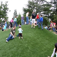 Turf Grass East Williston, Florida Lawn And Garden, Recreational Areas