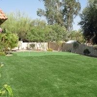 Turf Grass Frostproof, Florida Backyard Playground, Backyard Ideas