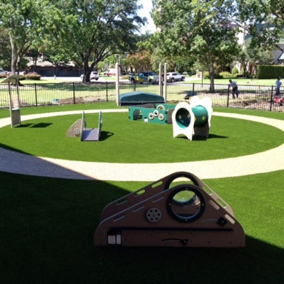 Artificial Grass Carpet Crystal Lake, Florida Landscaping Business, Commercial Landscape