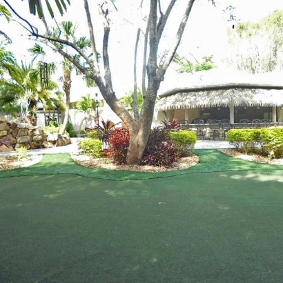Artificial Grass Carpet Desoto Lakes, Florida Indoor Putting Greens, Commercial Landscape