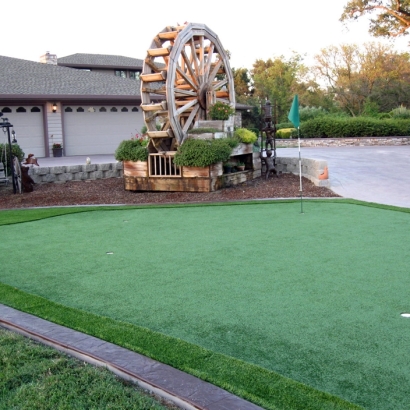 Artificial Grass Carpet Paisley, Florida Roof Top, Landscaping Ideas For Front Yard