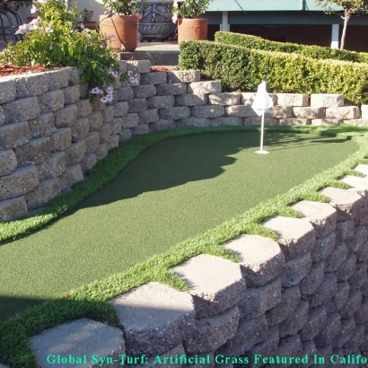 Artificial Grass Carpet Progress Village, Florida City Landscape, Backyard Designs