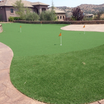 Artificial Grass Carpet Williamsburg, Florida Office Putting Green