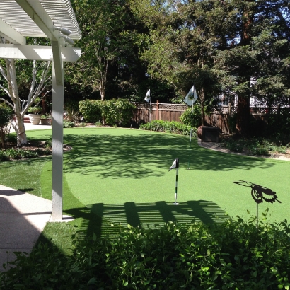 Artificial Grass Conway, Florida Garden Ideas