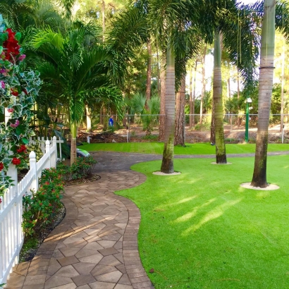 Artificial Grass Goldenrod, Florida Rooftop, Recreational Areas