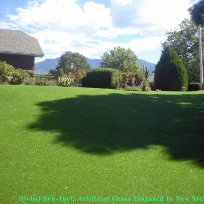 Artificial Grass Installation Carrollwood, Florida Pet Paradise, Backyard Landscaping