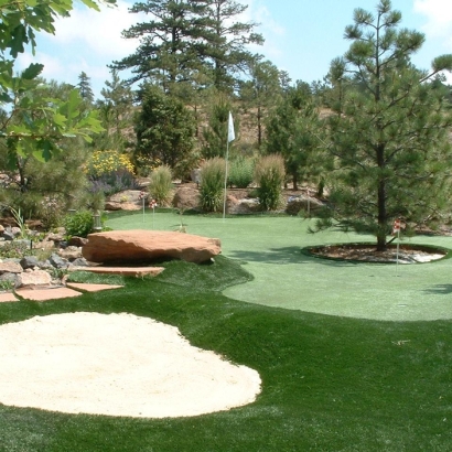 Artificial Grass Installation Lady Lake, Florida Indoor Putting Greens, Backyard Designs