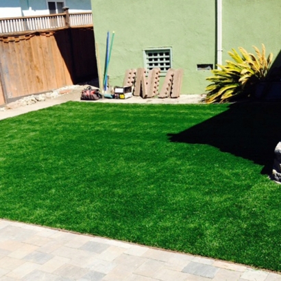 Artificial Grass Installation Pittman, Florida Artificial Turf For Dogs, Beautiful Backyards