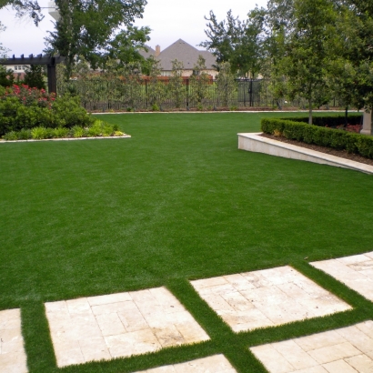 Artificial Lawn Dunedin, Florida Roof Top, Backyard