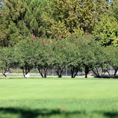 Artificial Lawn Fort Myers Beach, Florida Lawn And Landscape