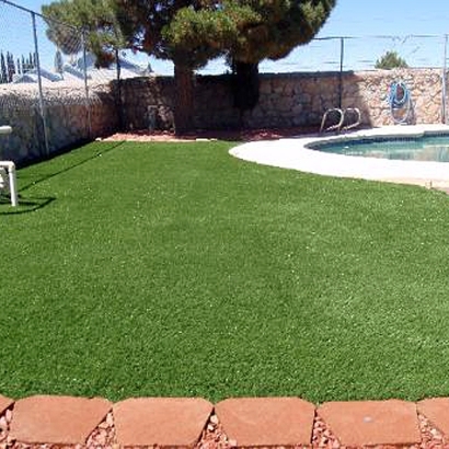 Artificial Lawn Whitfield, Florida Pictures Of Dogs, Pool Designs