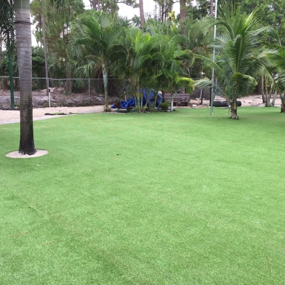 Artificial Turf Azalea Park, Florida Backyard Deck Ideas, Commercial Landscape