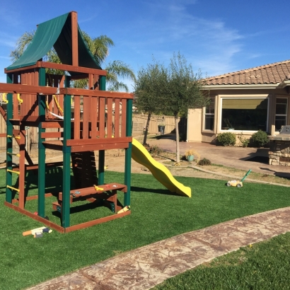 Artificial Turf Coleman, Florida Rooftop, Backyard Garden Ideas