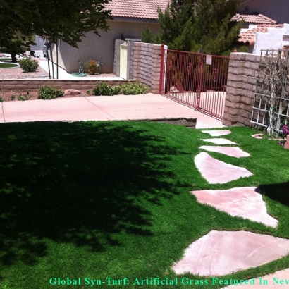 Artificial Turf Cost Citrus Park, Florida Grass For Dogs, Front Yard Landscape Ideas