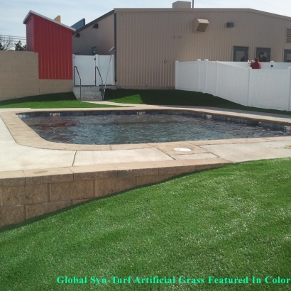 Artificial Turf Cost Greater Northdale, Florida Rooftop, Natural Swimming Pools