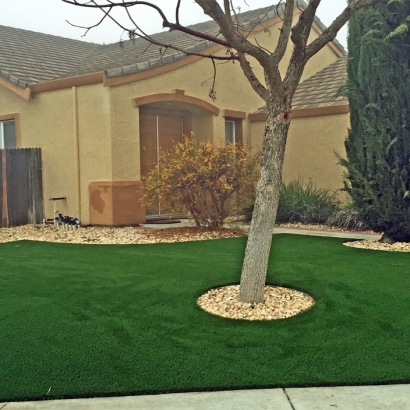 Artificial Turf Cost Sky Lake, Florida Lawns, Front Yard Landscape Ideas