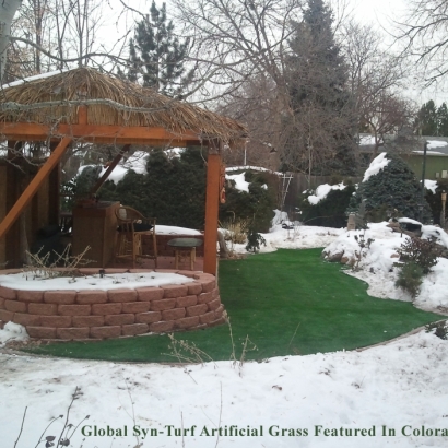 Artificial Turf Cost Westchase, Florida City Landscape, Backyard Designs
