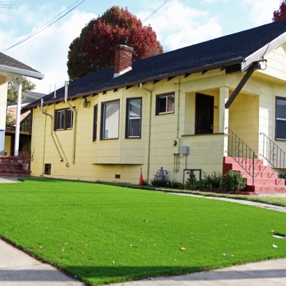 Artificial Turf Englewood, Florida Lawns, Front Yard Landscaping