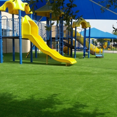 Artificial Turf Gifford, Florida Roof Top, Commercial Landscape