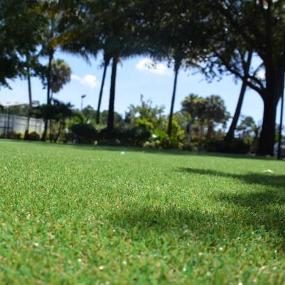 Artificial Turf Installation Apopka, Florida Landscaping, Parks