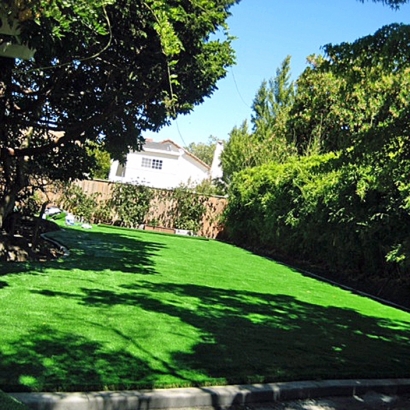 Artificial Turf Madeira Beach, Florida Roof Top, Backyard Landscaping