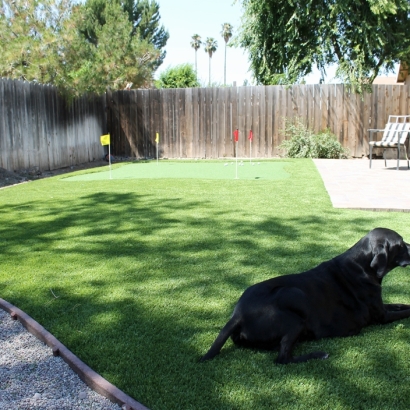 Artificial Turf Oak Ridge, Florida Gardeners, Backyard Landscape Ideas