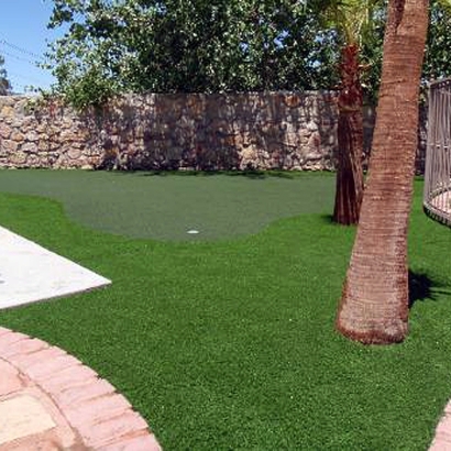 Artificial Turf Spring Lake, Florida Putting Green Flags, Backyards