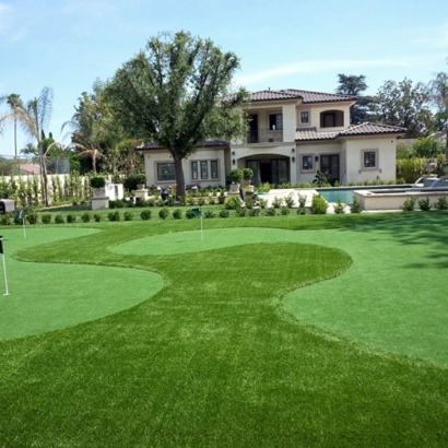 Best Artificial Grass Brewster, Florida Putting Green, Front Yard Design