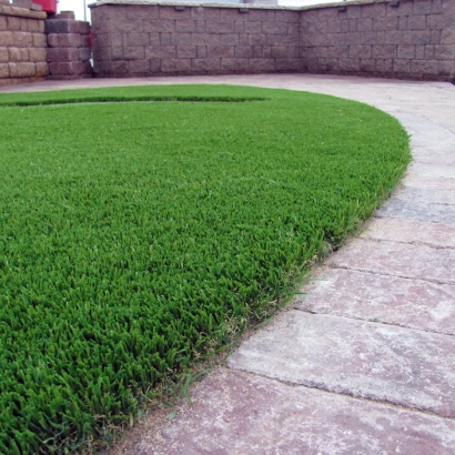 Best Artificial Grass Daytona Beach, Florida Lawn And Garden, Landscaping Ideas For Front Yard