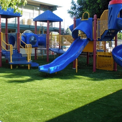 Best Artificial Grass Lake Sarasota, Florida Playground Safety, Commercial Landscape