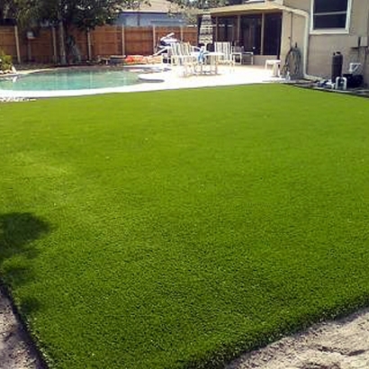 Best Artificial Grass Leesburg, Florida Landscape Rock, Backyard Ideas