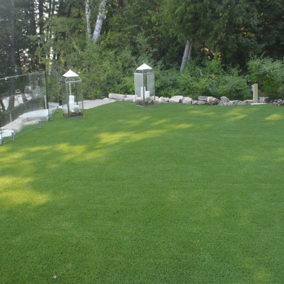 Best Artificial Grass Paisley, Florida Landscaping Business, Backyard