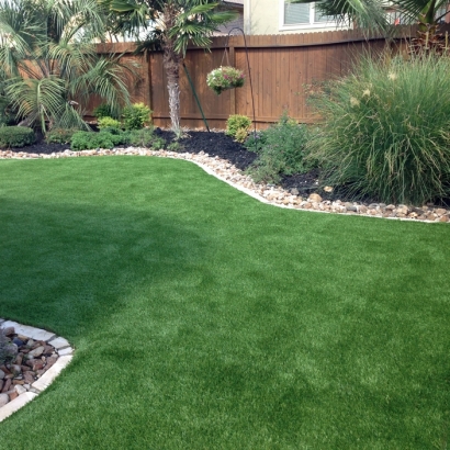 Best Artificial Grass Placid Lakes, Florida Roof Top, Backyard Designs