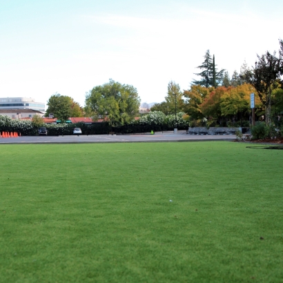 Best Artificial Grass San Carlos Park, Florida Lacrosse Playground