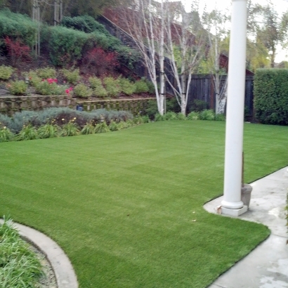 Best Artificial Grass Silver Lake, Florida Dog Pound, Backyard Makeover