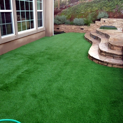 Fake Grass Carpet Beverly Hills, Florida Garden Ideas, Small Backyard Ideas