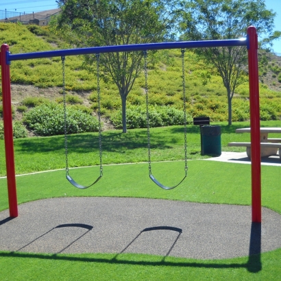 Fake Grass Carpet Southeast Arcadia, Florida Indoor Playground, Recreational Areas