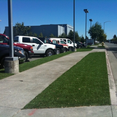 Fake Grass Carpet Treasure Island, Florida Landscape Rock, Commercial Landscape