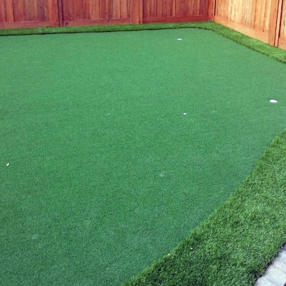 Fake Grass Carpet West Bradenton, Florida Gardeners, Beautiful Backyards
