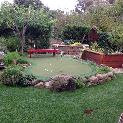 Fake Grass Greater Northdale, Florida Indoor Putting Greens, Beautiful Backyards