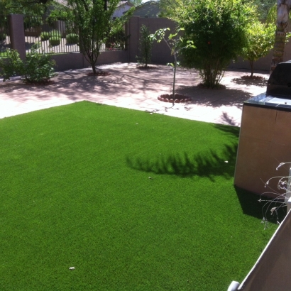 Fake Grass Punta Gorda Isles, Florida City Landscape, Backyards