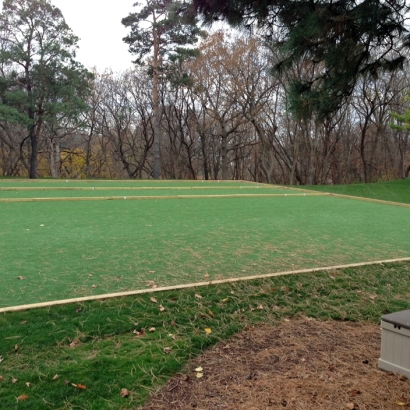 Fake Grass Trinity, Florida Landscape Ideas