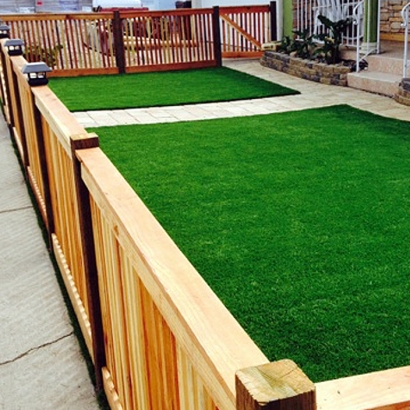 Fake Lawn Buckingham, Florida Garden Ideas, Front Yard Landscape Ideas