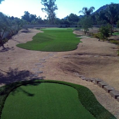 Fake Turf Arcadia, Florida Backyard Deck Ideas, Backyard Designs