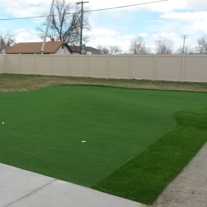 Fake Turf Inglis, Florida Indoor Putting Green, Small Backyard Ideas